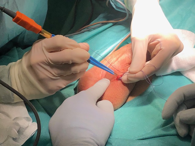 knstliches jod Jod Kapseln: 120 Stck mit 150 g bestens bioverfgbares Jod